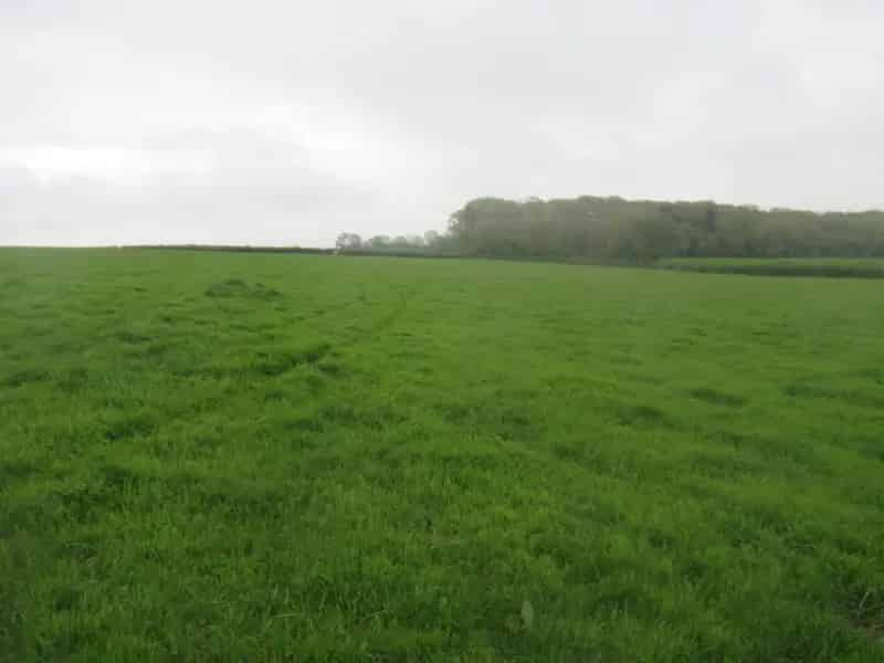 50 Acres Grassland Farmland with Woodland