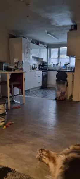 4 Bed House Needs Decorating