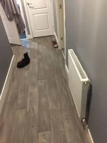 Decent Sized Flat Wantage Quiet Area