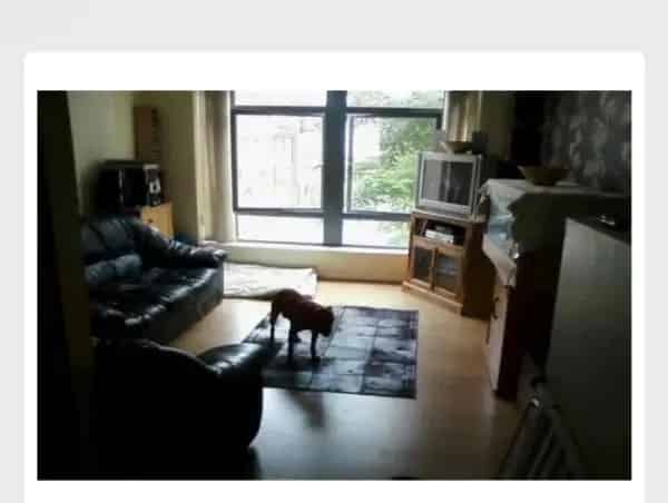 Flat For Rent , Rother, England