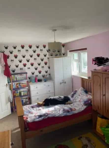2 Bed Flat Teignmouth Near Morrisons School Bus Route