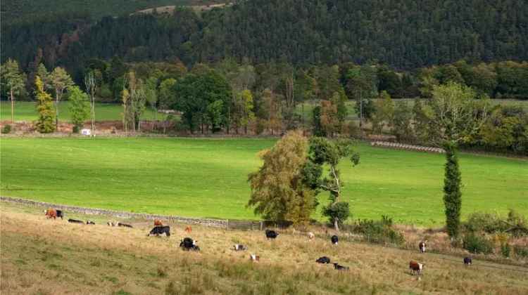 Land For Sale in null, Scotland