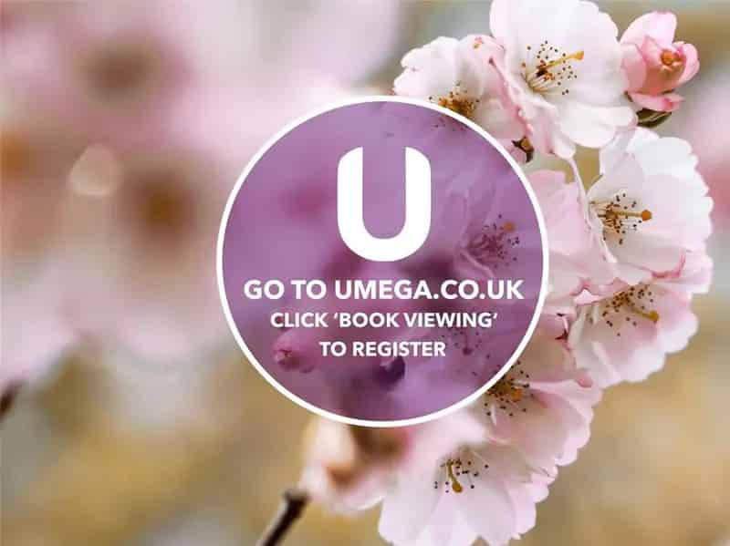 3 Bed HMO Edinburgh Student Flat near Meadows University