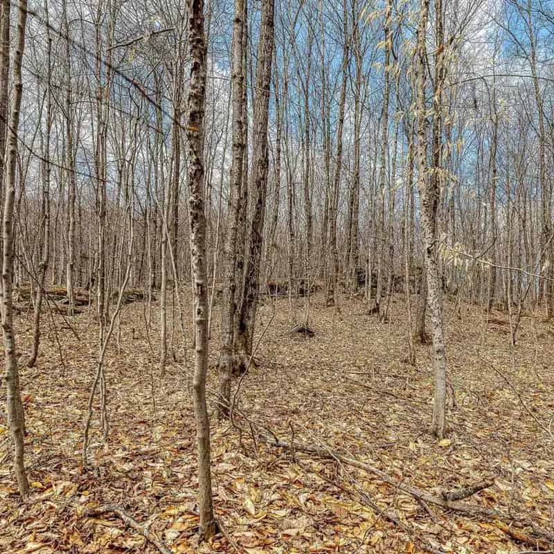 61460 sq ft Lot for Sale Near Downtown