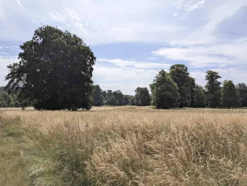 Land for Sale in Heytesbury Wiltshire