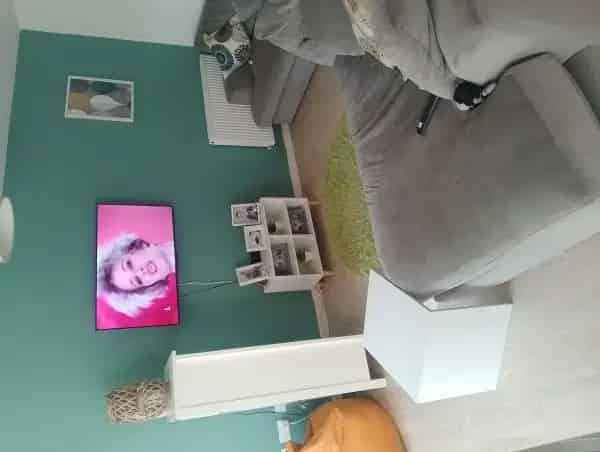 1 Bed Apartment Near Canal and Country Walks