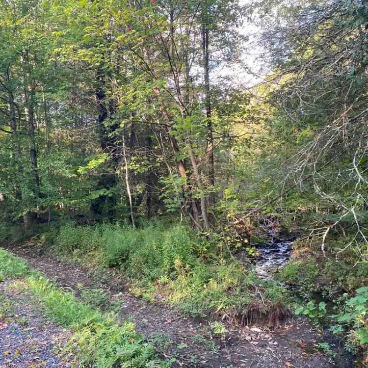 Wooded Lot for Sale near Owl's Head and Lake Memphremagog