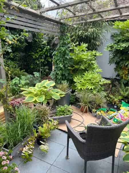 House with Large Gardens Near Shops and Amenities