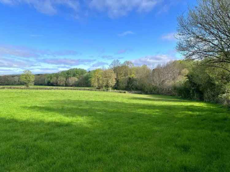 2.43 Acre Paddock with Woodland - Suitable for Various Uses