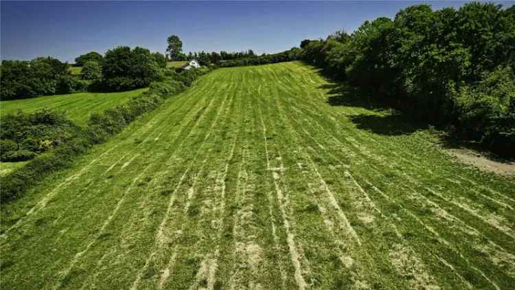 3.16 Acre Land Plot in Kelsall - Equestrian Use or Development Potential
