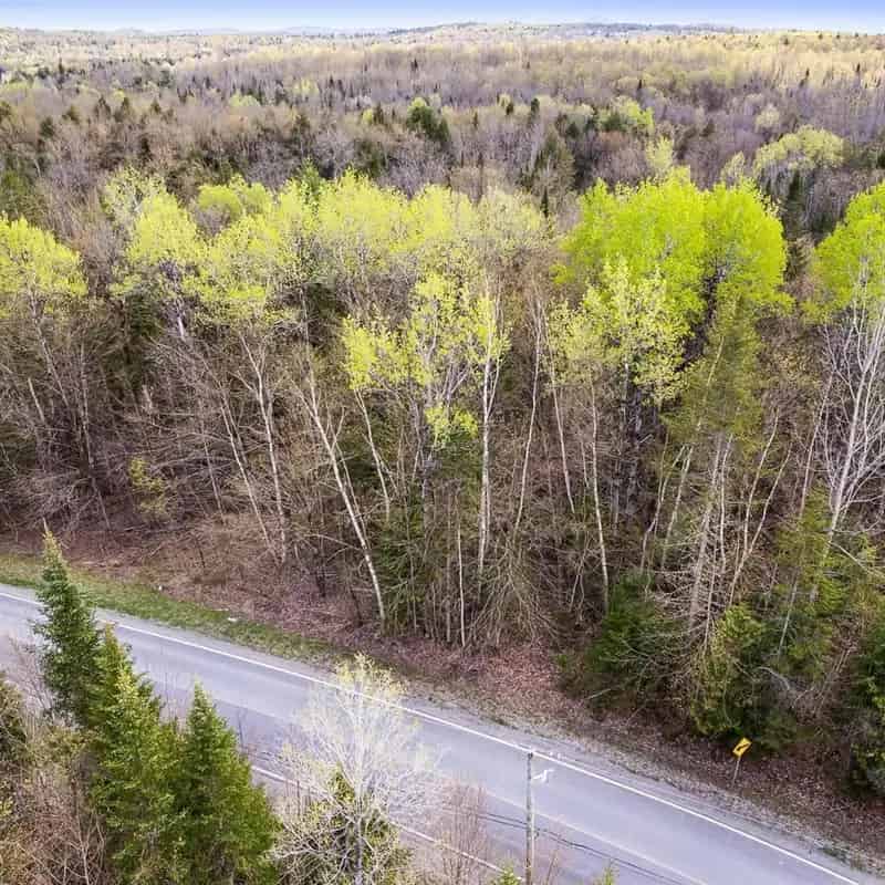 2.3 Acre Wooded Lot 8 Minutes from Magog
