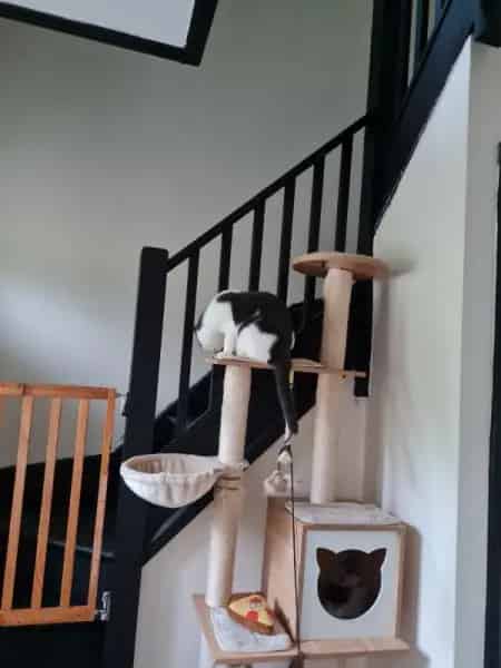 3 Bed House - Downsizing Opportunity