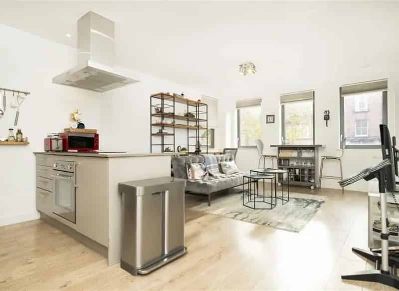 Two Bedroom Apartment in Ginger Line Building