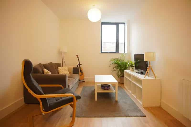1 bedroom apartment