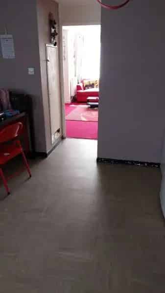 3 Bed House New Windows Doors Large Garden Fruit Trees Ideal Downsizer