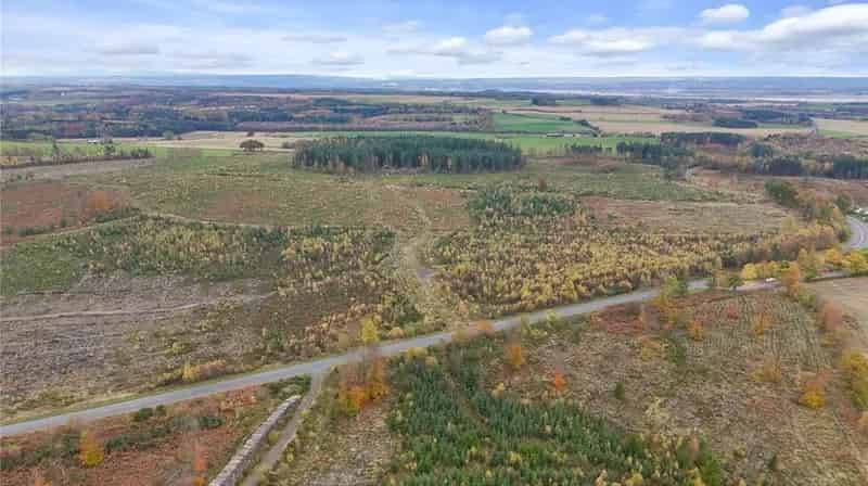 Clackmannan Woodland 73.19 Ha