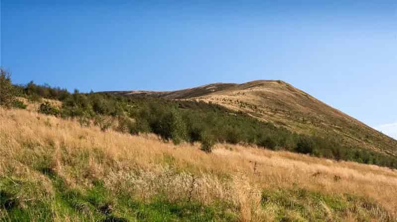 Lot 2 Talla Farm 228.17 Ha 563.81 Acres SRDP SSSI Land for Sale