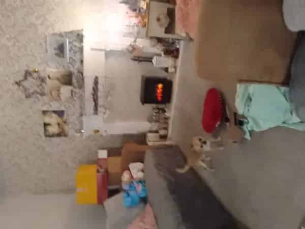 2 Bedroom Bungalow Near Kings Lynn