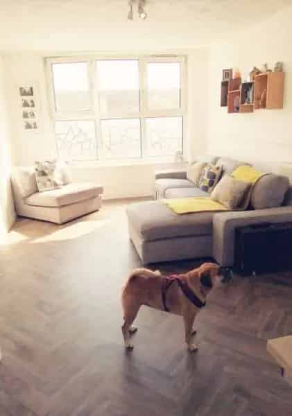 2 Double Bed Flat Near Tube Pets Allowed