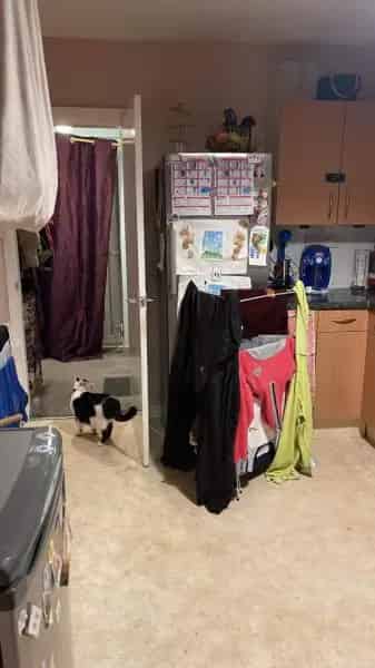 3 or 4 Bed House Swap Near Bucklers Mead or Milford School