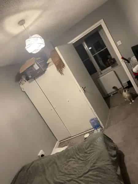 1 Bed Modern Flat Near Seafront New Kitchen and Shower