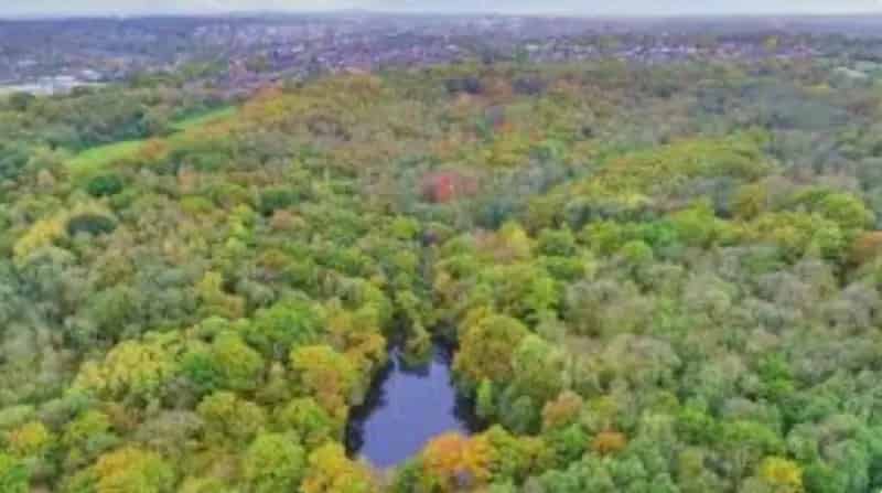 Wooded Land with Tree Preservation Order Road Frontage