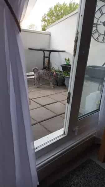 Family Home Near Green Spaces and Transport Links