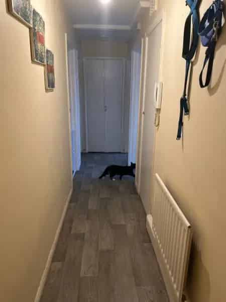 Big 1 Bed GFF Near Beach Pets Allowed Brick Shed