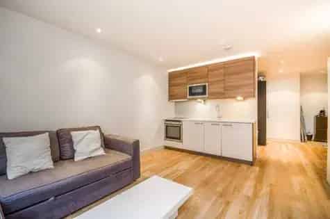 Spacious 66m² Studio Flat London - Waterside Development
