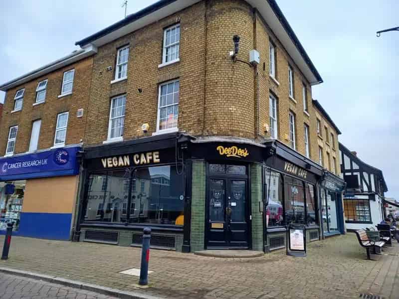 Vegan Cafe Retail Unit Three Floors Storerooms Kitchen WC Facilities