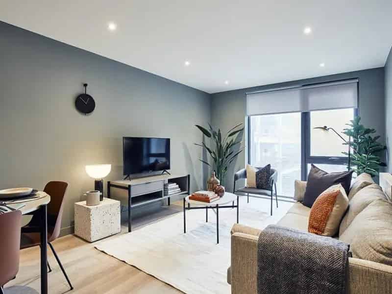 2 bedroom apartment to rent