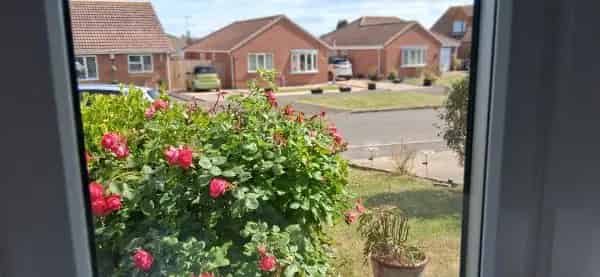 Large Bungalow Near Beach with Garden and Field