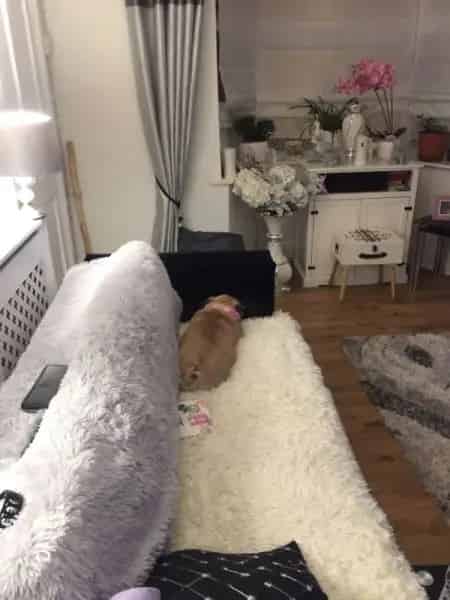 House For Rent , Walsall, England
