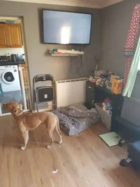 One Bedroom Flat Near Worthing Train Station Pets Considered