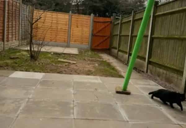 3 Storey Townhouse 2 Double Bedrooms Garage Garden