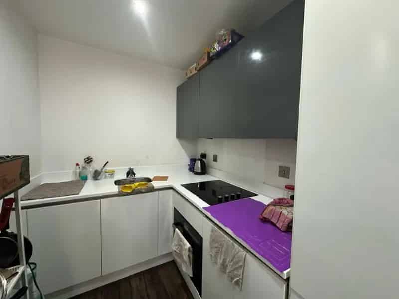 1 Bedroom Furnished Apartment Ridley House Available Mid May