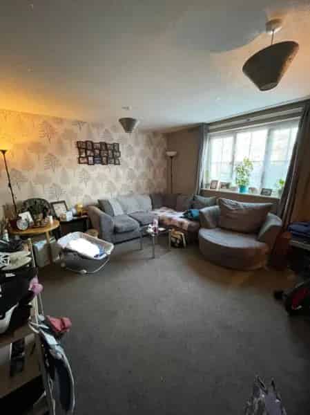 Ground Floor Wheelchair Accessible Pet-Friendly Apartment Near Town Center