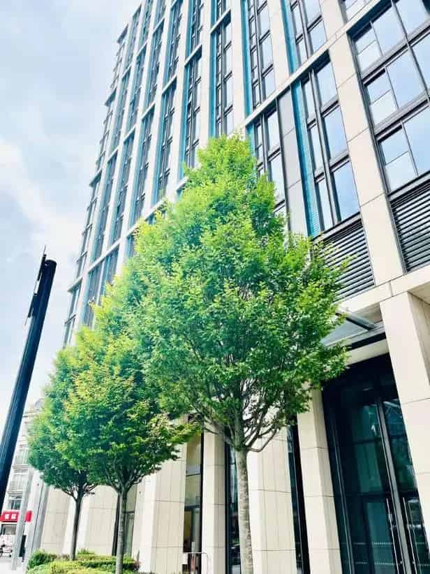 3 Bed Flat for Sale in Luxury Versace Building