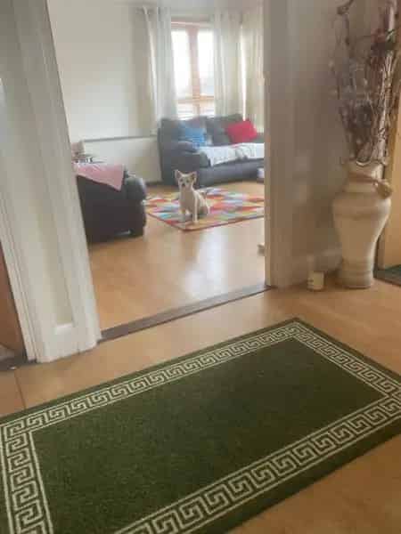 Spacious Flat Near Shops and Station Easy Access to London