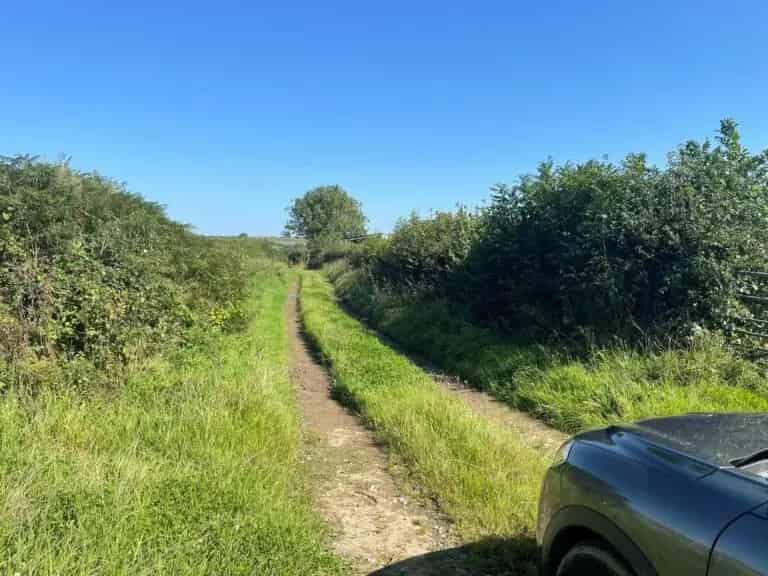 11 Acres Agricultural Pasture Land with Building near Dolton
