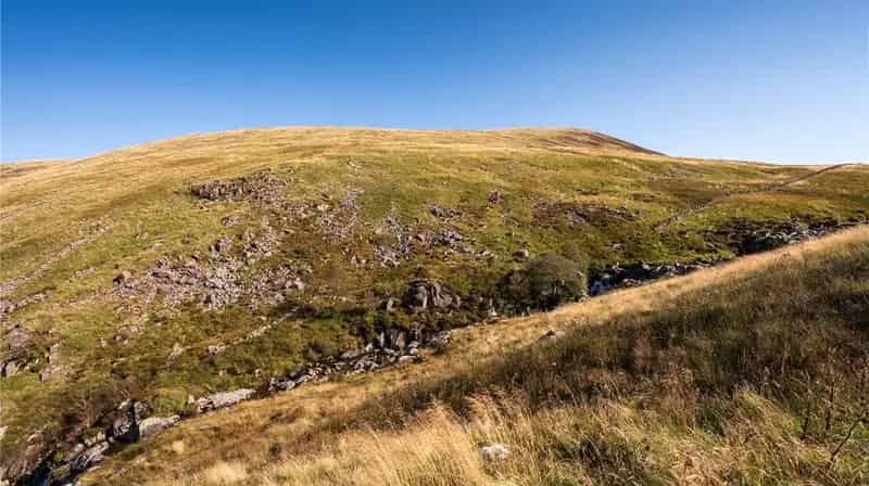73.51 Ha Hill Pasture Land in Tweedsmuir Hills SSSI