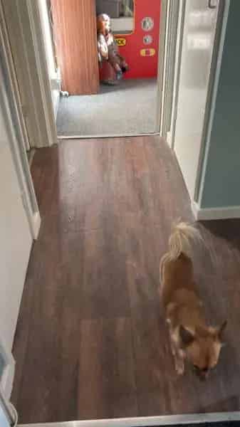 2 Bed Ground Floor Flat with Private Garden