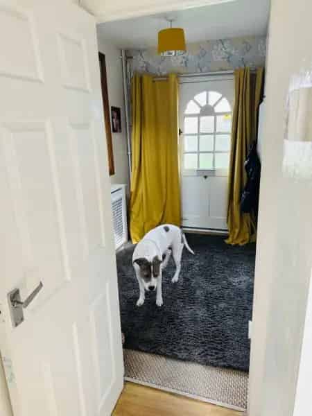3 Bedroom House Big Gardens Central Location Double Parking