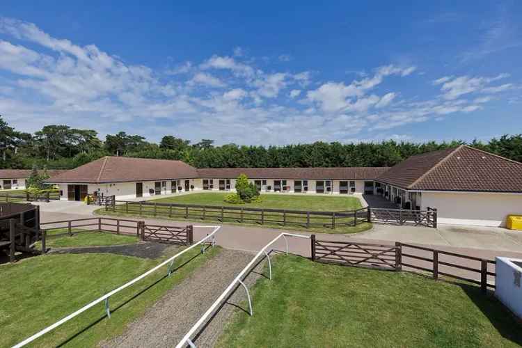 Newmarket Equestrian Training Facility - 88 Boxes, Vet Facilities