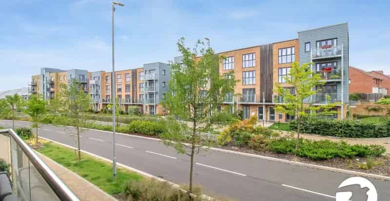 1 bedroom property to rent