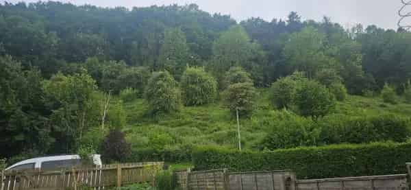 3 Bedroom House Stunning Woods Views Knighton