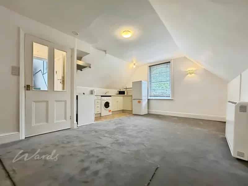 1 bedroom apartment to rent