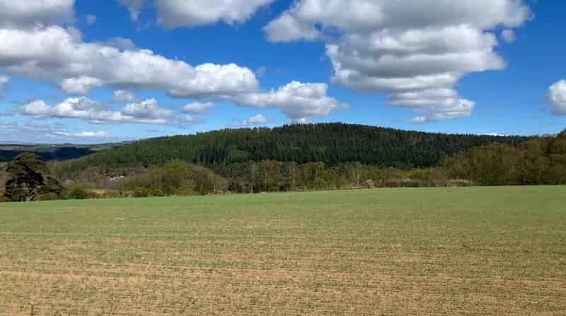 Low Baronwood Farm - Lot 2 - 22.4 Acres Arable Land