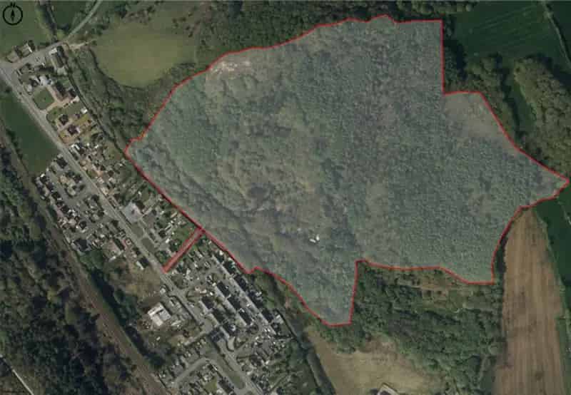 47 Acres Woodland with 3 Caravans - Peaceful Retreat