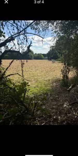3 Bed House Near Schools and Bus Route